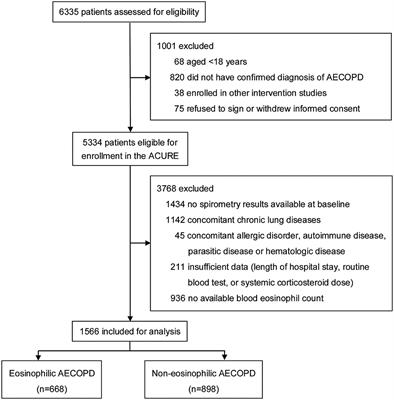 Blood Eosinophils and Clinical Outcomes in Patients With Acute Exacerbation of Chronic Obstructive Pulmonary Disease: A Propensity Score Matching Analysis of Real-World Data in China